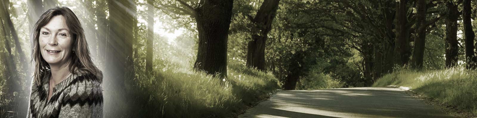 Drømmearbejde - en del af psykoterapien