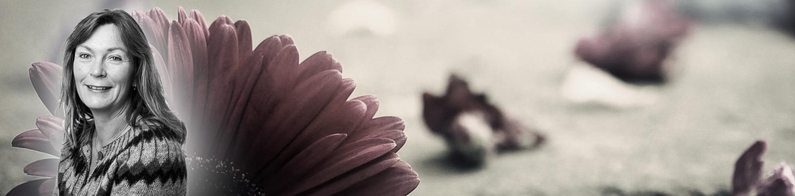 Udtalelser - Find hele dig